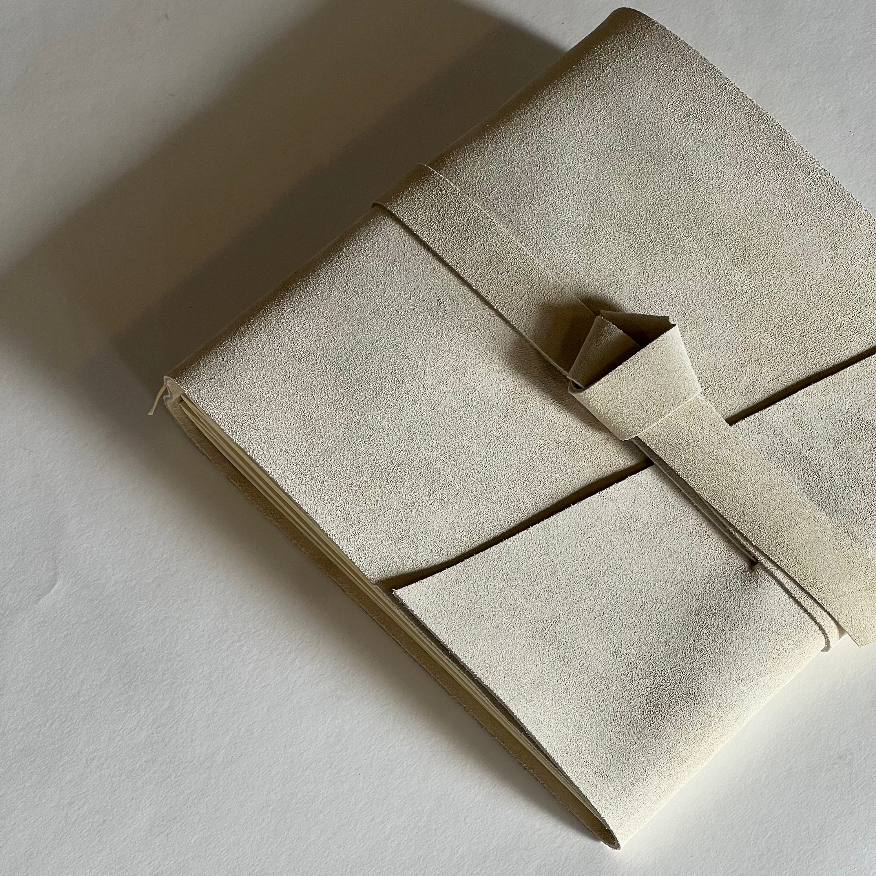 Pampas Beige Leather Photo Album