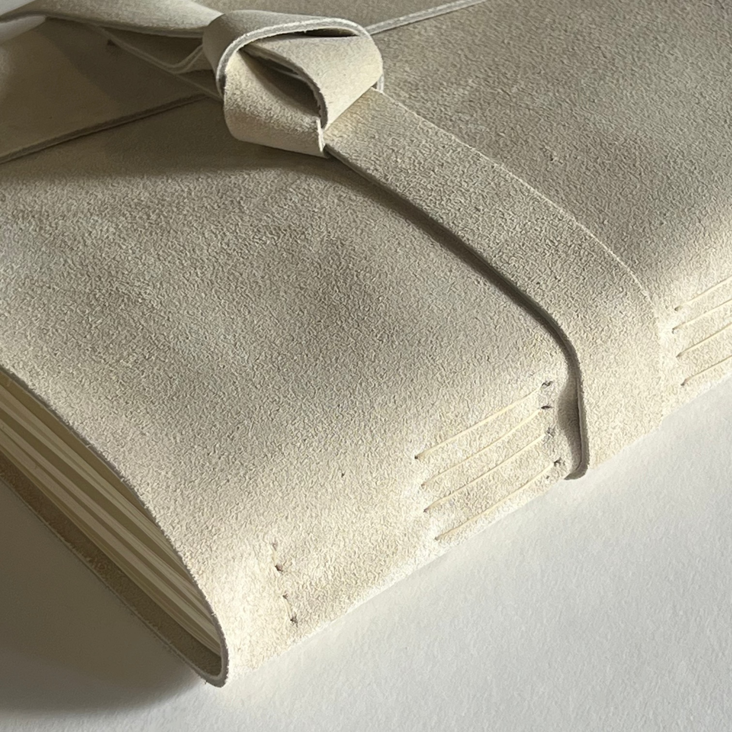 Pampas Beige Leather Photo Album