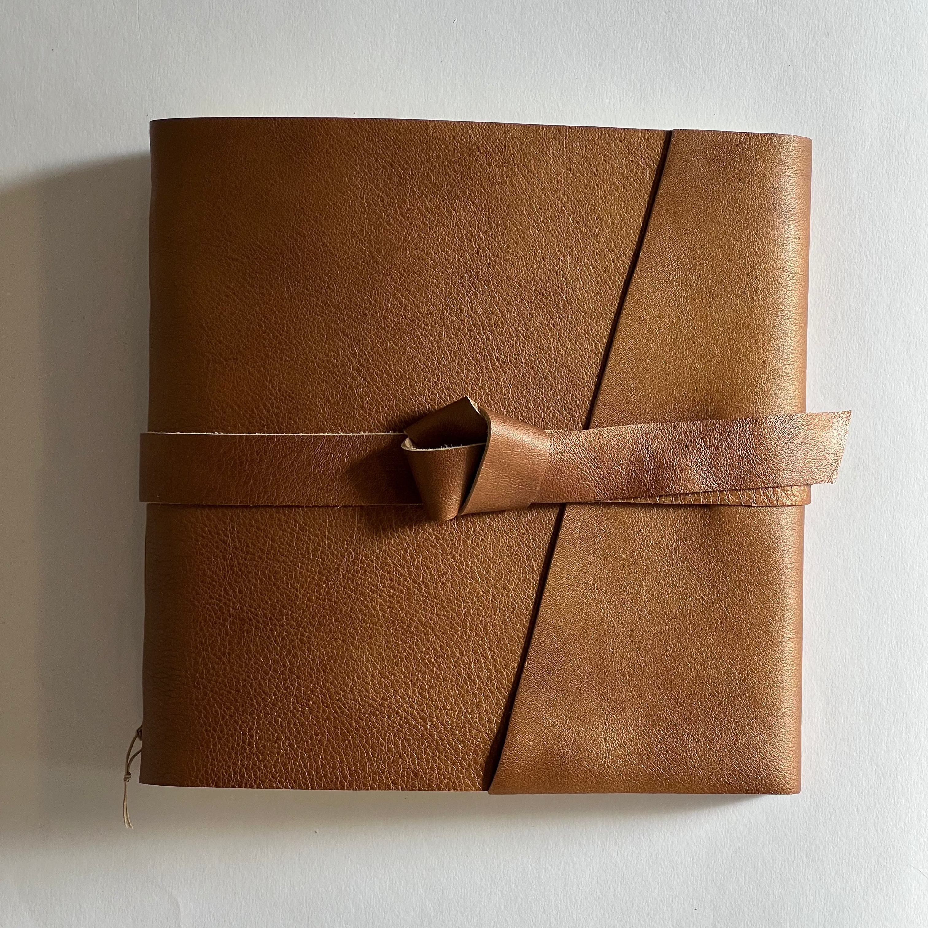 Bronze Leather Photo Album