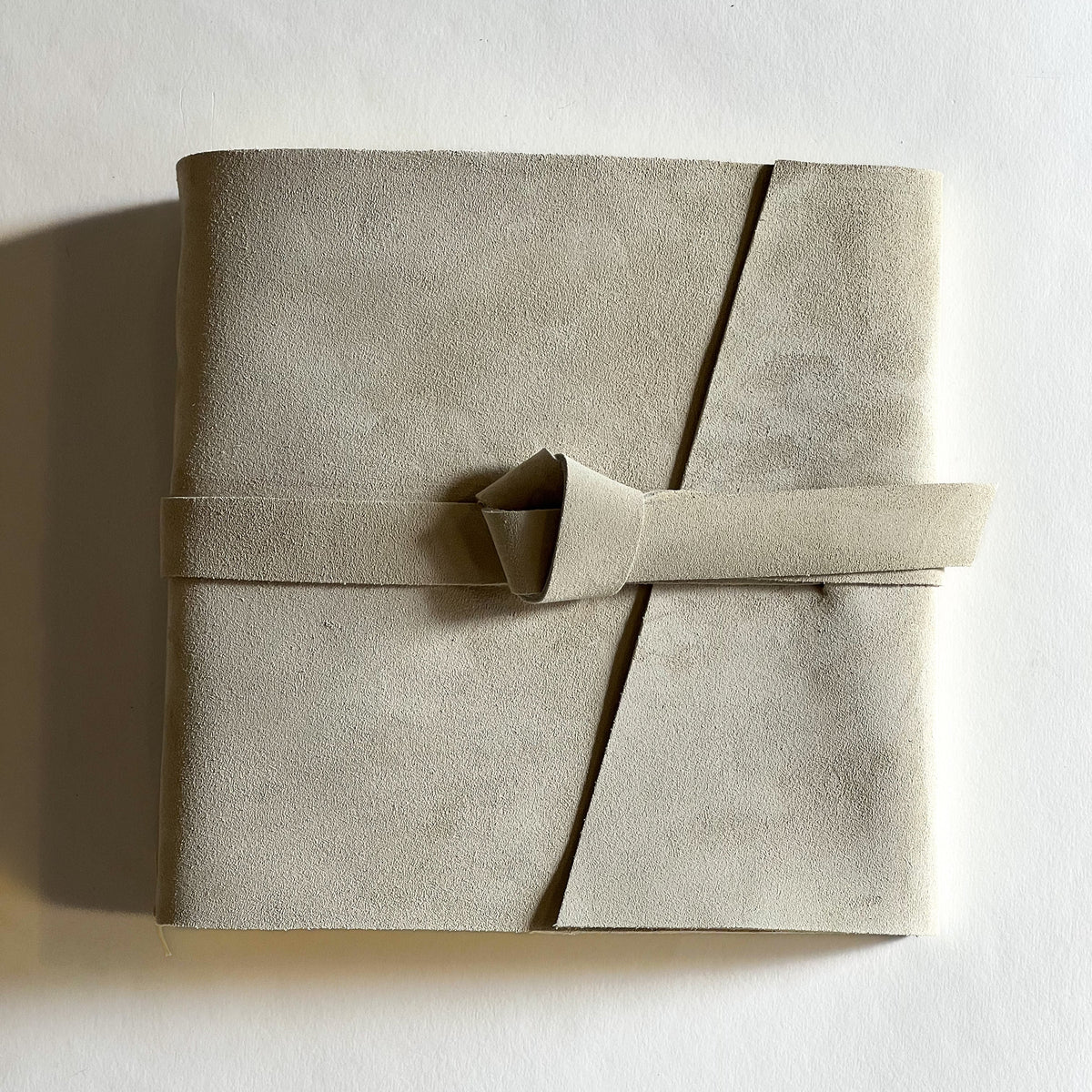 Pampas Beige Leather Photo Album
