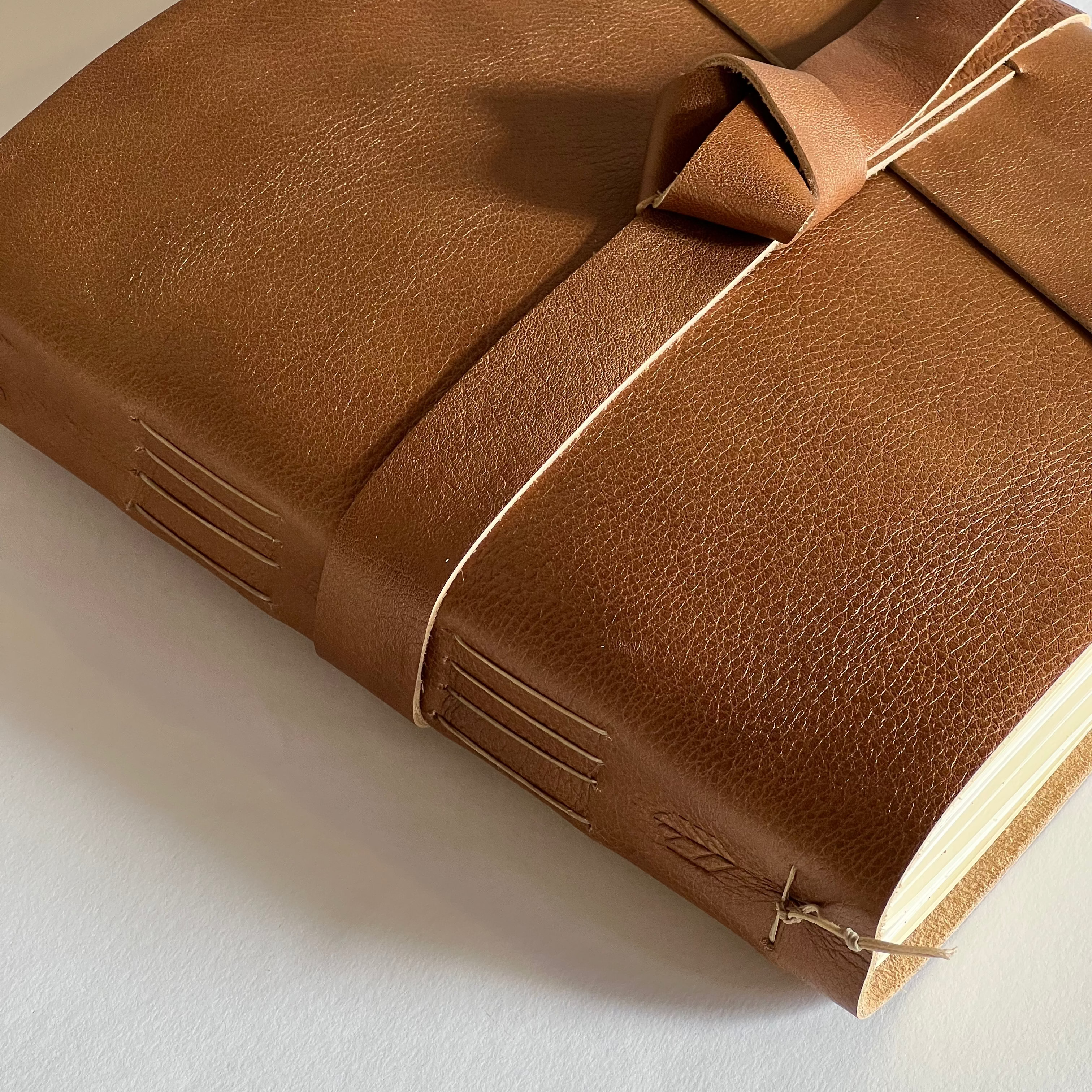 Bronze Leather Photo Album