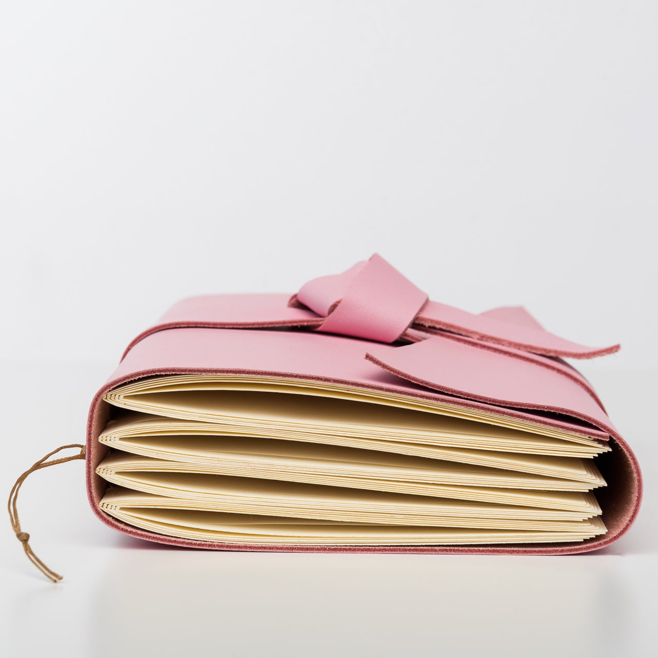 Baby Rose Leather Journal