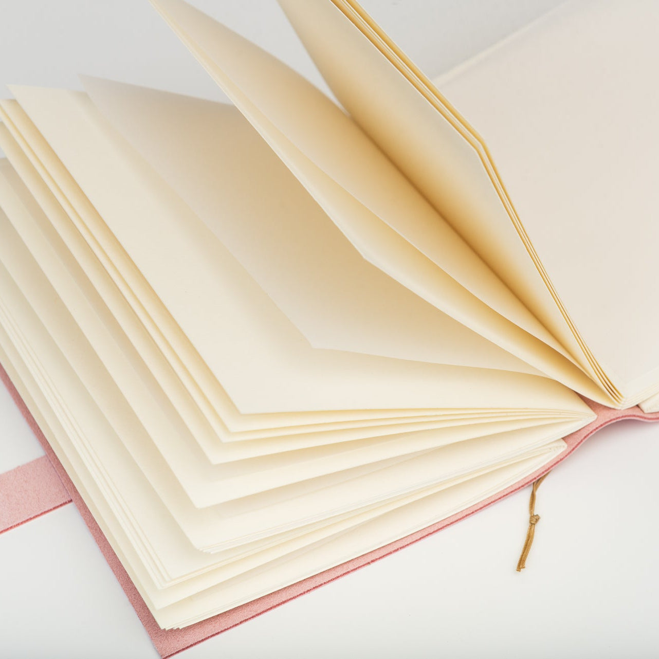 Baby Rose Leather Journal