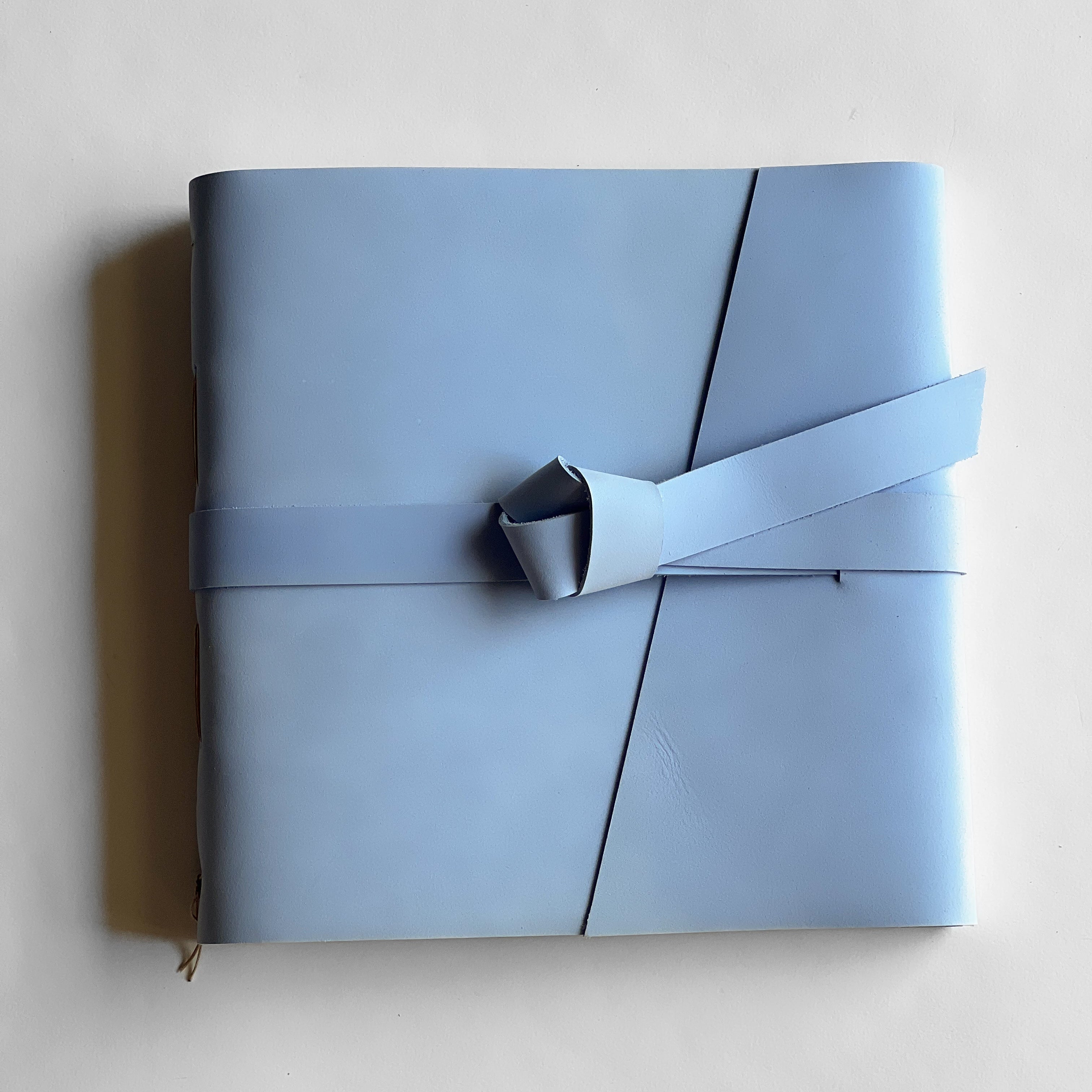 blue sky leather photo album 